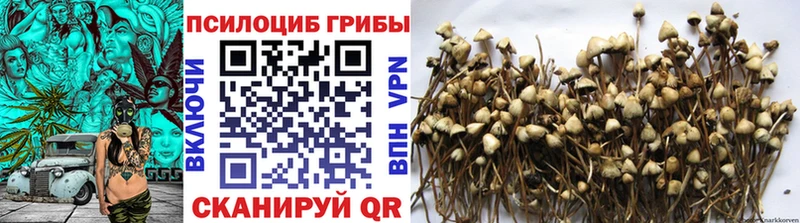 Псилоцибиновые грибы Cubensis  наркошоп  Советский 